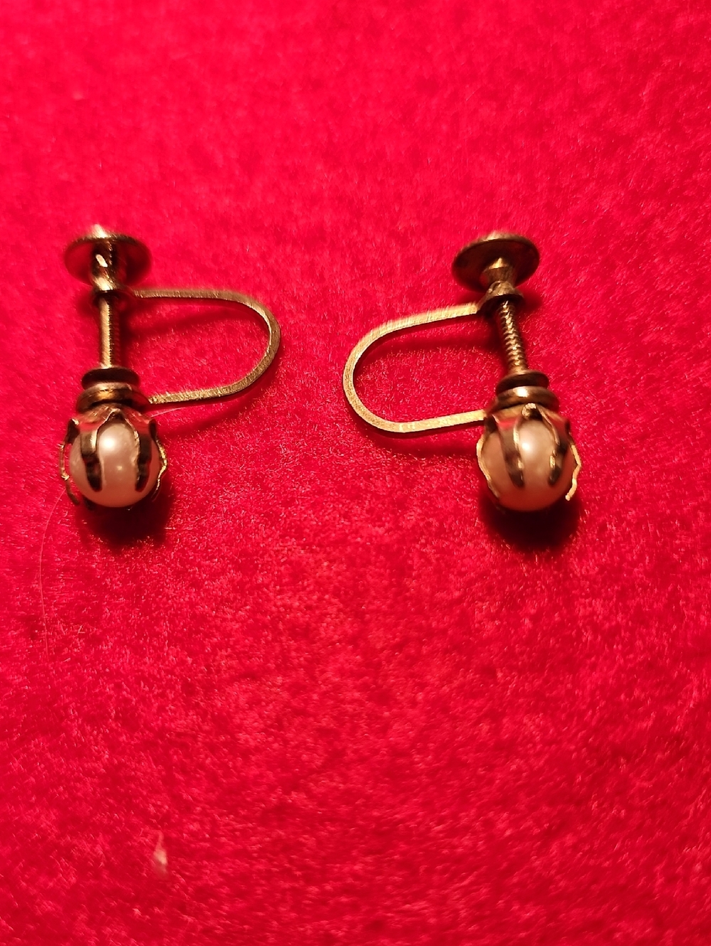 Classic Gold-Tone Pearl Screwback Earrings